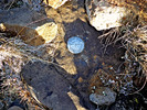 photo thumbnail #12