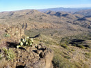 photo thumbnail #14