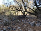 photo thumbnail #2