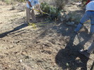 photo thumbnail #3
