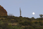 photo thumbnail #15