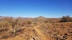 photo thumbnail #14