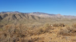 photo thumbnail #15