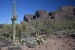 photo thumbnail #5