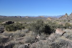 photo thumbnail #9