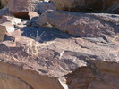 photo thumbnail #10