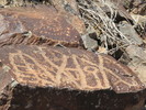 photo thumbnail #11