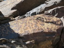 photo thumbnail #14