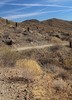 photo thumbnail #1