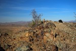photo thumbnail #4