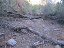 photo thumbnail #4