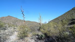 photo thumbnail #8