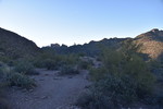 photo thumbnail #2