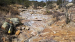 photo thumbnail #12
