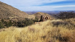 photo thumbnail #13