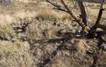 photo thumbnail #3