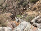 photo thumbnail #2