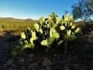 photo thumbnail #3