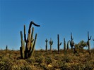photo thumbnail #8