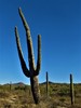 photo thumbnail #13