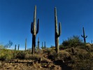 photo thumbnail #14
