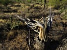photo thumbnail #15