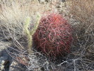 photo thumbnail #9