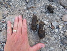photo thumbnail #10