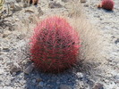 photo thumbnail #14
