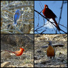 photo thumbnail #13