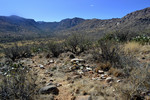 photo thumbnail #9