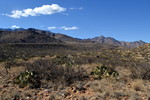 photo thumbnail #14