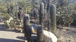 photo thumbnail #1