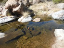 photo thumbnail #8