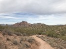 photo thumbnail #3