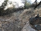 photo thumbnail #2