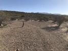photo thumbnail #4