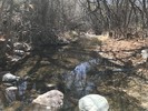 photo thumbnail #12
