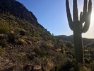 photo thumbnail #2
