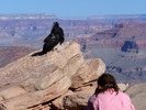 photo thumbnail #10