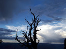 photo thumbnail #5