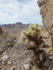 photo thumbnail #7