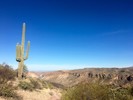 photo thumbnail #5
