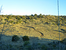 photo thumbnail #7
