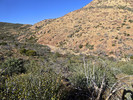 photo thumbnail #15