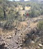 photo thumbnail #2