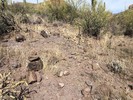 photo thumbnail #1
