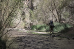 photo thumbnail #2