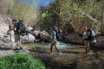 photo thumbnail #3
