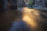 photo thumbnail #13